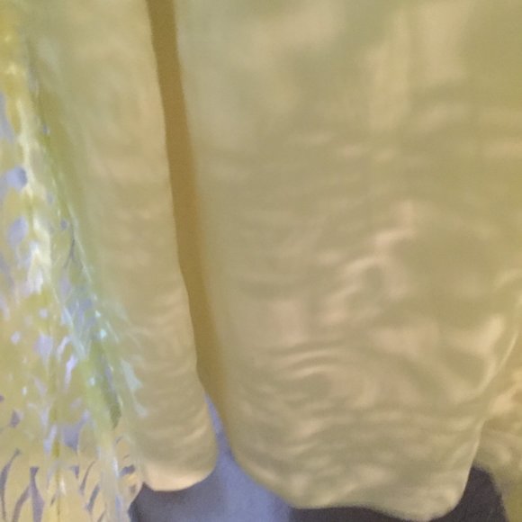 NWT yellow lace dress with lining in dress sleeves sheer bell size 10 - Picture 3 of 7